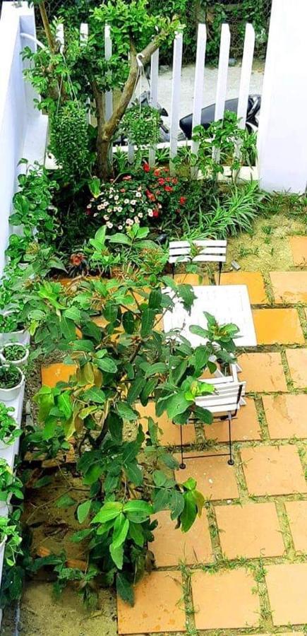 Appartamento Star Garden Hoi An Esterno foto
